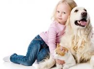 Vyšetření pro chovatele domácích mazlíčků